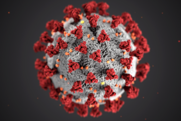 Information vedrørende Coronavirus / Covid-19